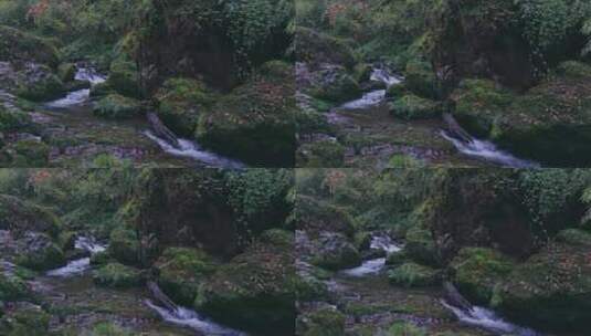 森林小溪流水高清在线视频素材下载