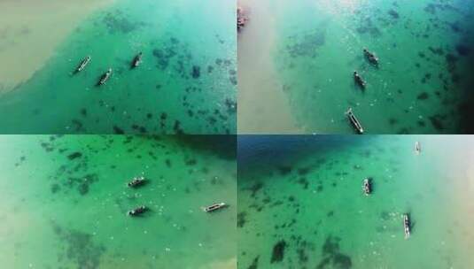 云南草海-泸沽湖海鸥成群围绕渔船高清在线视频素材下载