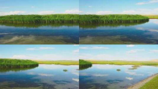 青海湖边的水塘高清在线视频素材下载