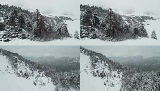 云南香格里拉巴拉格宗雪山森林高清在线视频素材下载