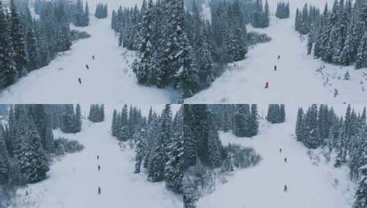 冬季降雪空中射击滑雪运动员在山林中的慢动高清在线视频素材下载