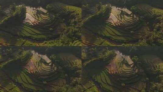 日出时稻田的鸟瞰图，鲁滕，弗洛雷斯，印度高清在线视频素材下载