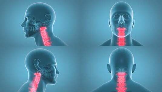 颈椎高清在线视频素材下载
