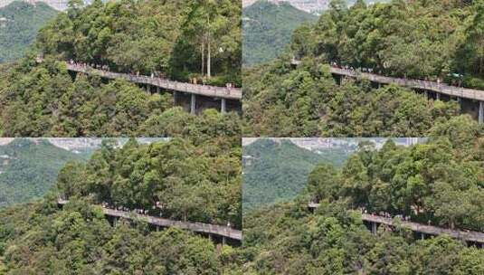 广东观音山国家森林公园第十二届登山大赛高清在线视频素材下载