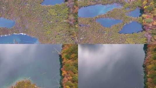 航拍九寨沟秋天诺日朗瀑布镜海彩林水景秋景高清在线视频素材下载