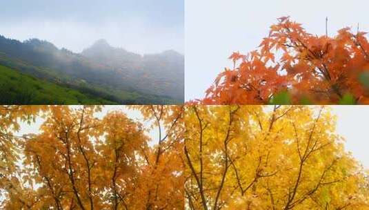 自然风景 大美山川 唯美治愈 高山流水高清在线视频素材下载