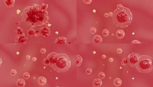 细胞 分子 AE 血液 人体 红细胞高清AE视频素材下载