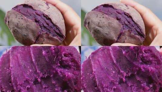 小紫薯素材高清在线视频素材下载