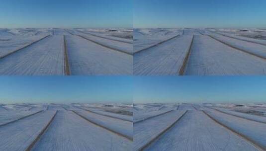 航拍呼伦贝尔垦区雪域雪原高清在线视频素材下载