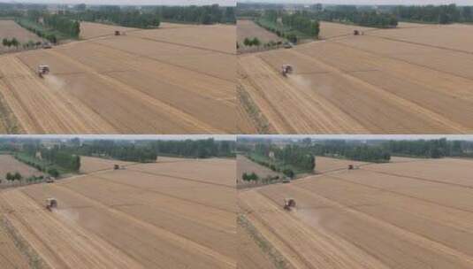 航拍小麦收割高清在线视频素材下载
