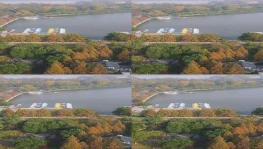 旅游景区南京玄武湖秋天竖屏高清在线视频素材下载