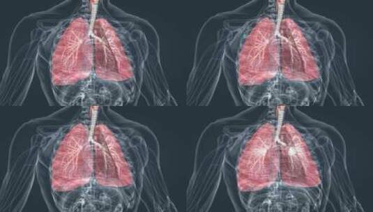 医学 肺功能 肺呼吸 肺活量 深呼吸动画高清在线视频素材下载