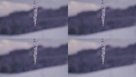 雪山森林里的冰块特写 高清在线视频素材下载