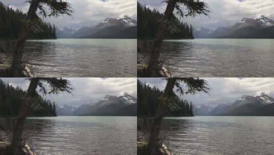 美丽的湖景高清在线视频素材下载