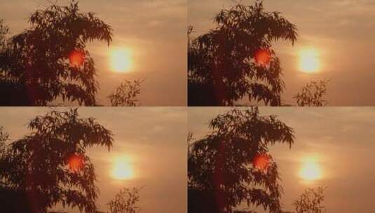 4k实拍夕阳日落唯美素材高清在线视频素材下载