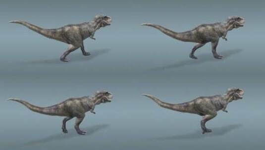 霸王龙 食肉恐龙 恐龙 三维 动画 古代高清在线视频素材下载