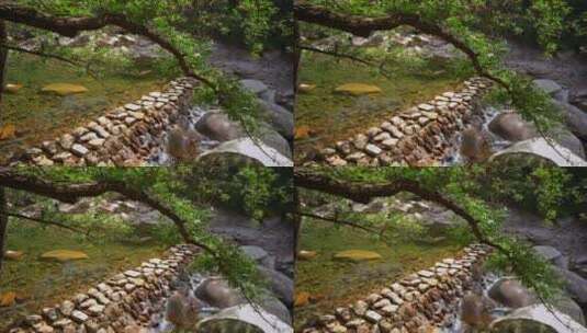 山体公园森林溪流流水流流自然景观特写 4k高清在线视频素材下载
