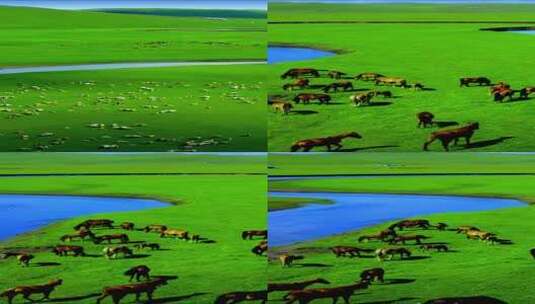 竖版-航拍草原上奔跑的牛羊高清在线视频素材下载