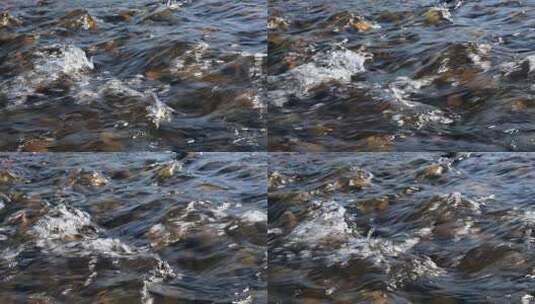 清澈的溪流水流河流高清在线视频素材下载