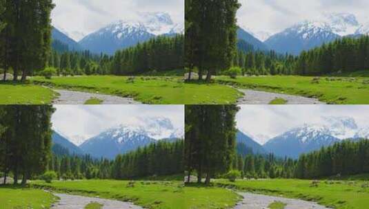 新疆伊犁森林雪山空镜头高清在线视频素材下载