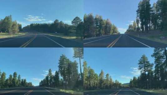 第一视角驾车行驶在林间公路高清在线视频素材下载