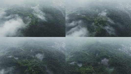 清晨日出4K航拍大自然风景树林云雾高清在线视频素材下载