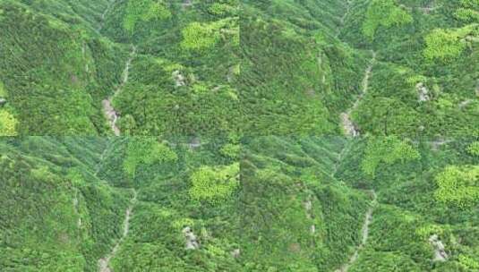 航拍浙江丽水旅游缙云仙都山谷自然风景高清在线视频素材下载