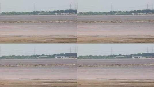 杭州市钱塘江潮水生态湿地白鹭高清在线视频素材下载