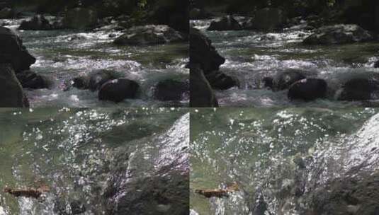 4K小溪河流奔腾的河水空镜意境实拍视频高清在线视频素材下载