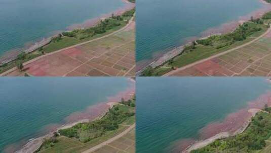 中国云南玉溪抚仙湖风景高清在线视频素材下载