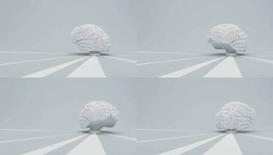 一颗白色的大脑高清在线视频素材下载