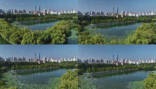 长沙烈士公园年嘉湖绿色城市高清在线视频素材下载