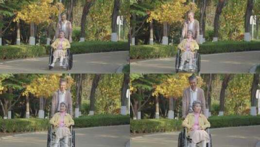 老年幸福生活 陪伴 老人轮椅高清在线视频素材下载
