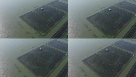 航拍5月份的阳澄湖大闸蟹蟹池高清在线视频素材下载