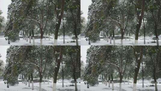 树林下雪慢镜头高清在线视频素材下载
