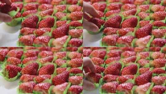 排列整齐的高品质水果草莓展示高清在线视频素材下载