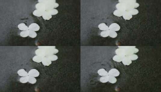 雨水打在掉落地面的白色花瓣上高清在线视频素材下载