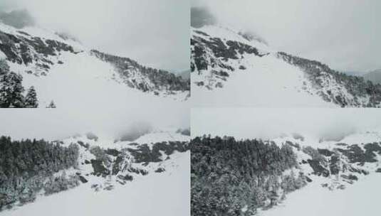 云南香格里拉巴拉格宗雪山森林风雪高清在线视频素材下载