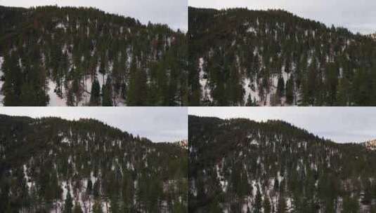 冬日特哈查皮山脉白雪皑皑的山坡和松树林—高清在线视频素材下载