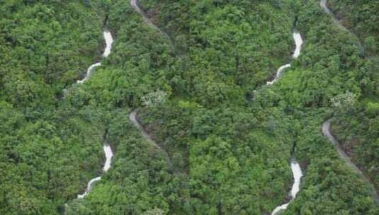 广东东莞：雨后山涧水量充沛 水流湍急高清在线视频素材下载