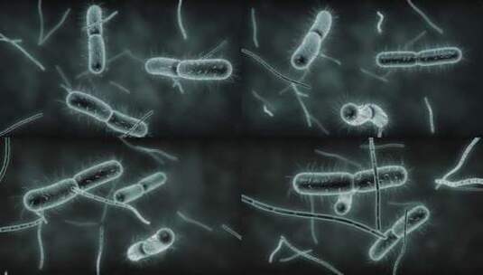 细菌微生物特写动画_4K高清在线视频素材下载