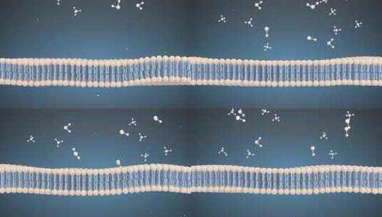 膜细胞和分子，3d渲染高清在线视频素材下载