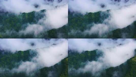 航拍山川云雾森林自然风光大气片头风景视频高清在线视频素材下载