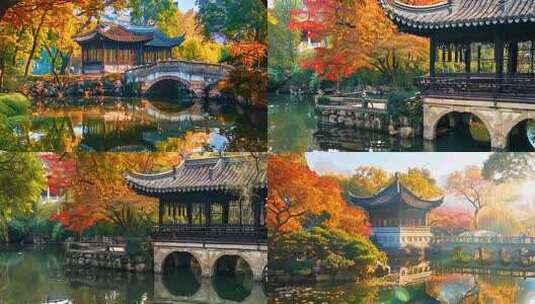 唯美园林景观 苏州园林秋天红叶江南 白露高清在线视频素材下载