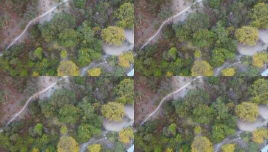 藏区仙境梅里雪山森林秋天航拍高清4k素材高清在线视频素材下载