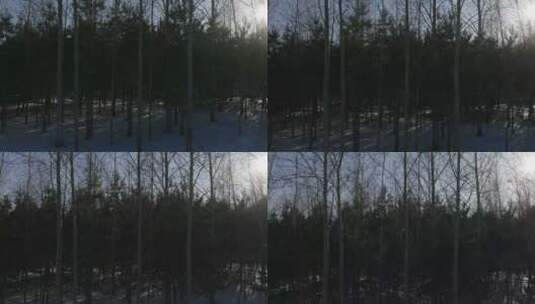 雪地森林上升日落航拍高清在线视频素材下载