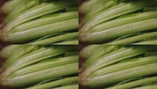 叶茎根茎植物根茎叶特写高清在线视频素材下载