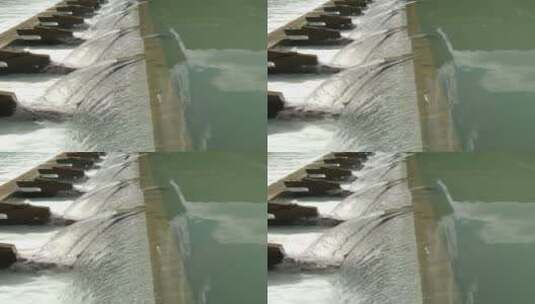 流动的河水水流4K实拍视频高清在线视频素材下载