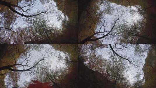 树叶飘过水面高清在线视频素材下载