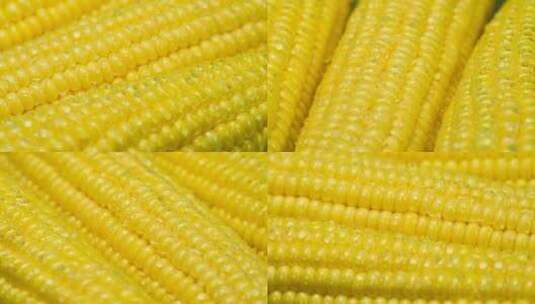 玉米 农业 农作物 食物 植物高清在线视频素材下载